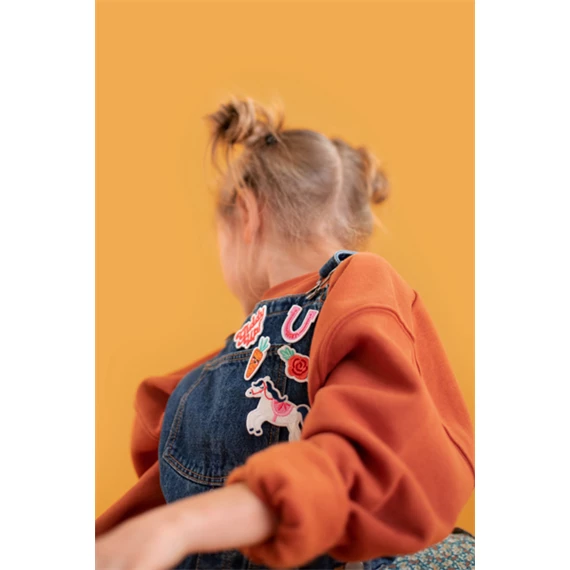 Vasalható matrica giddy up, mix, 2-7x3,5-7 cm S/5