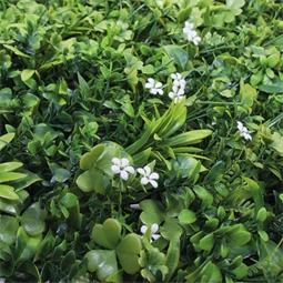 Zöldfal jázmin virágokkal 1x1 m