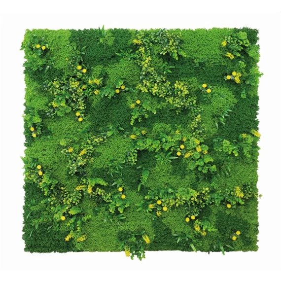 Zöldfal mohára emlékeztető növényekkel 1x1 m